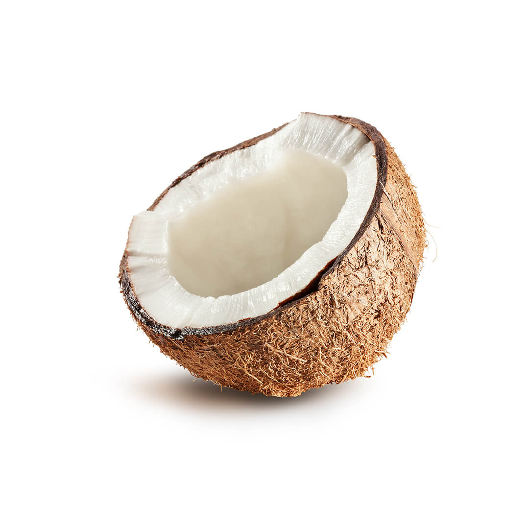 Coconut