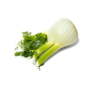 Fennel