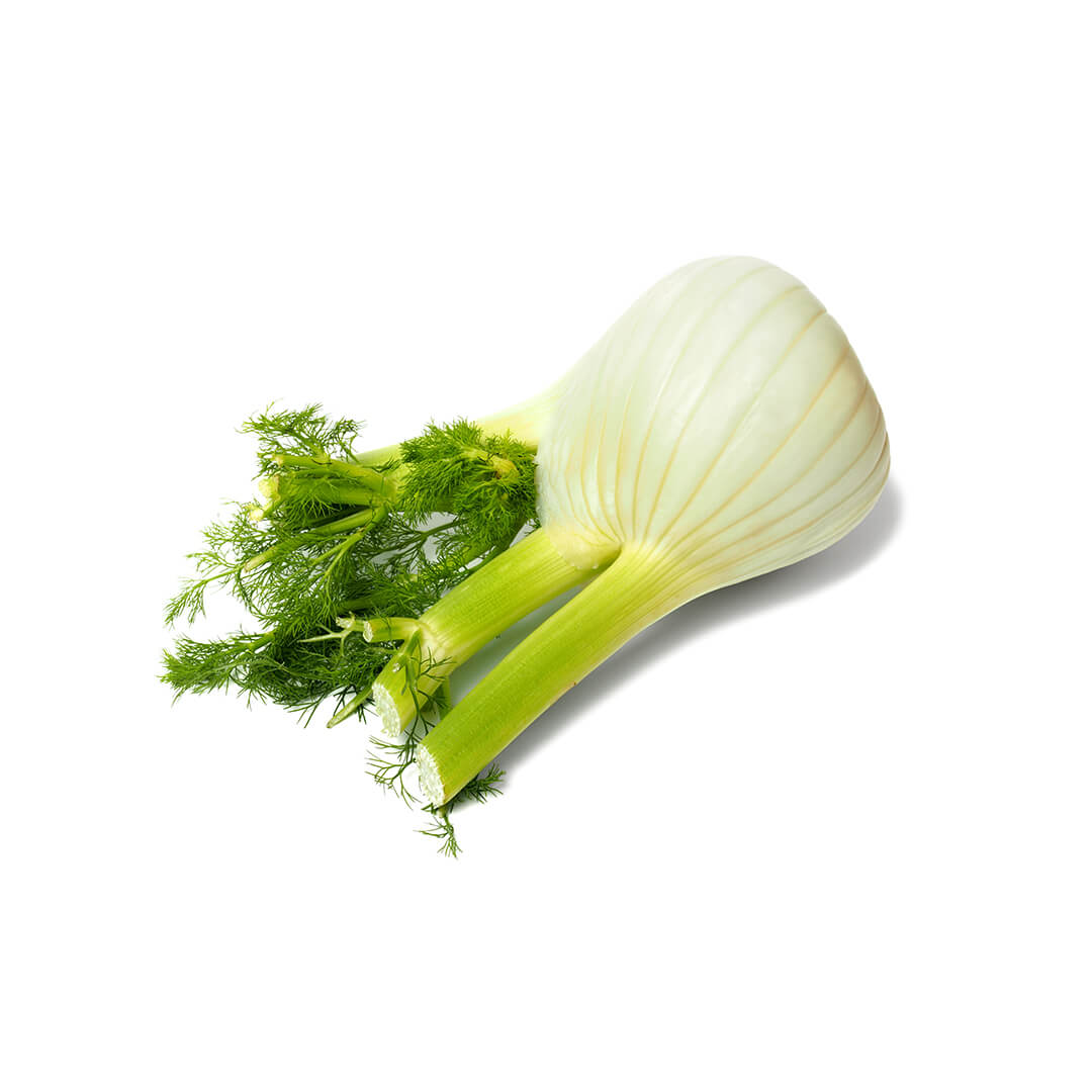 Fennel