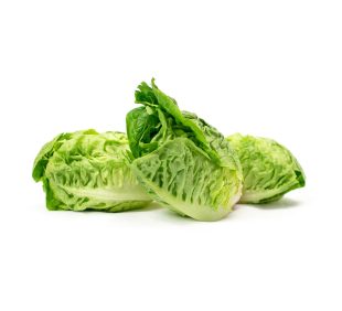 Little gem lettuce