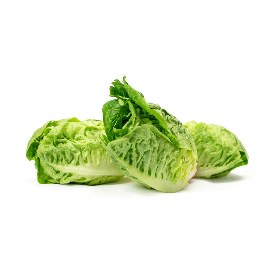 Little gem lettuce