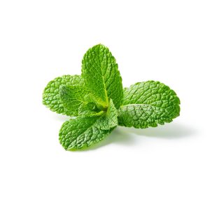 Mint