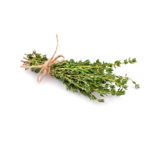 Thyme