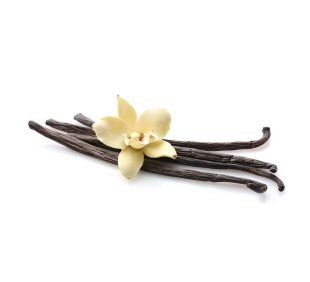Vanilla